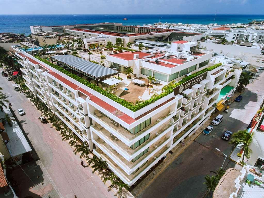 מלון פלאייה דל כרמן The Reef 28 מראה חיצוני תמונה