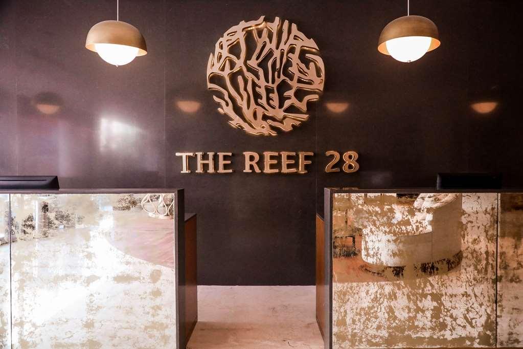 מלון פלאייה דל כרמן The Reef 28 מראה חיצוני תמונה